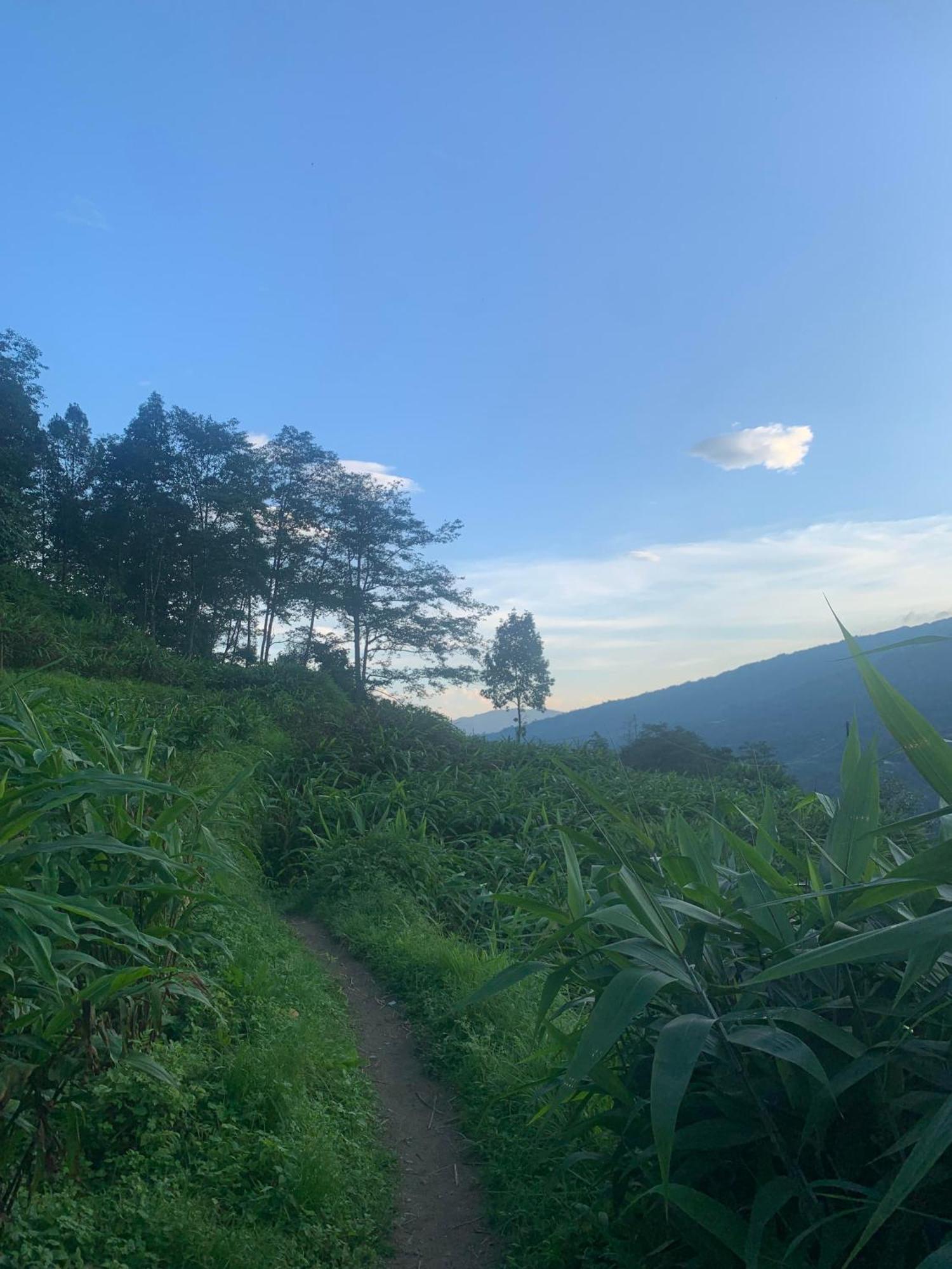 Trekking Hill Farm Stay Gorkhe Exterior photo